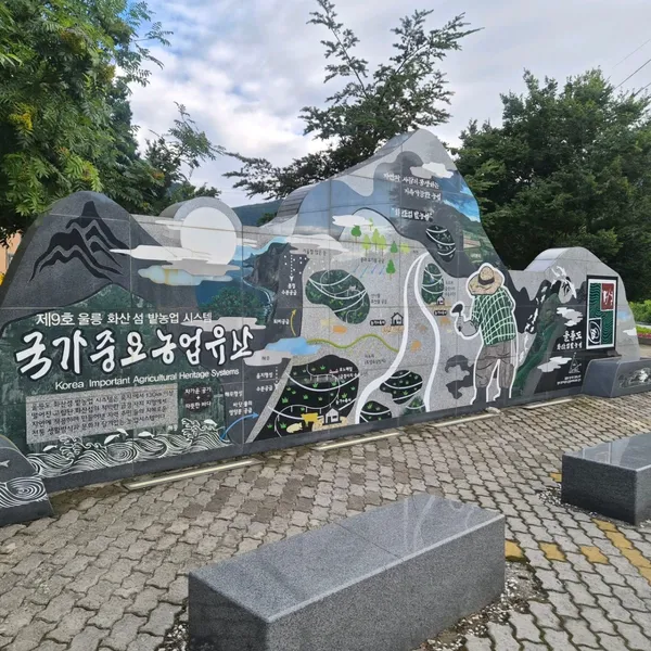 나리분지 사진 3