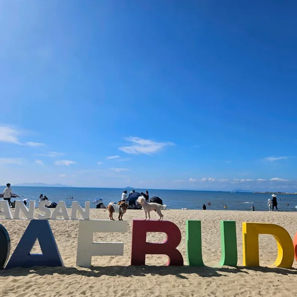 방아머리해변