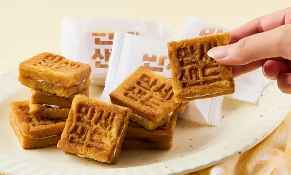 비바 사진 2
