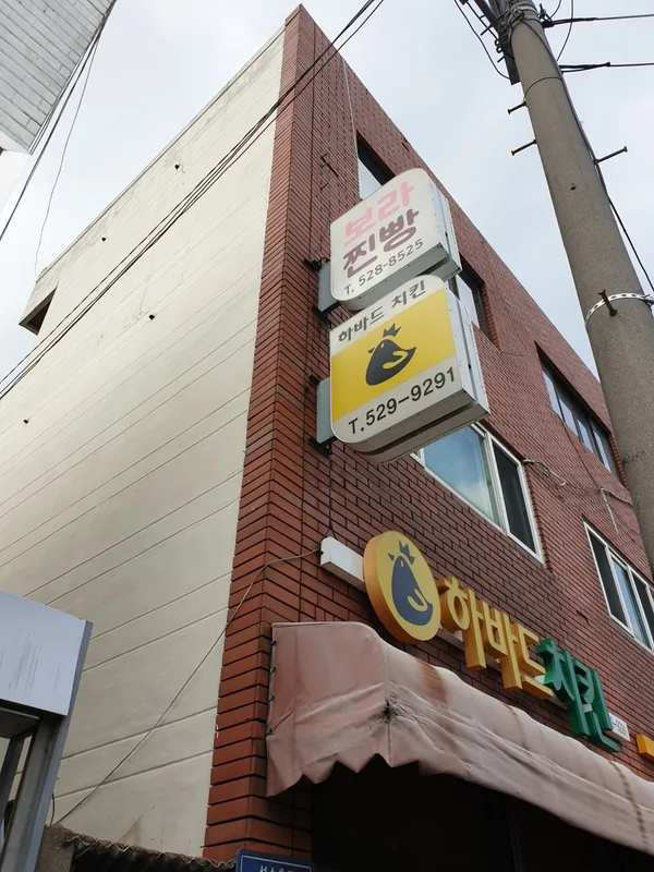 보라찐빵 사진 2