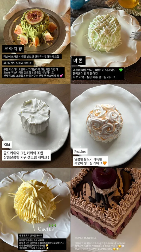먀 사진 2