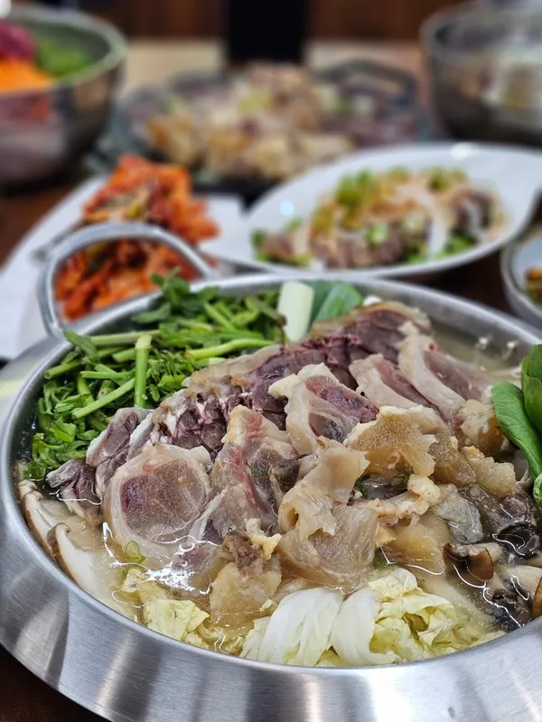 애월미나리 사진 3