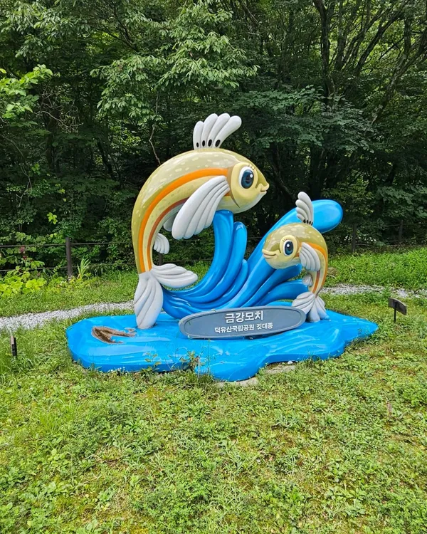 덕유산자연휴양림 사진 3