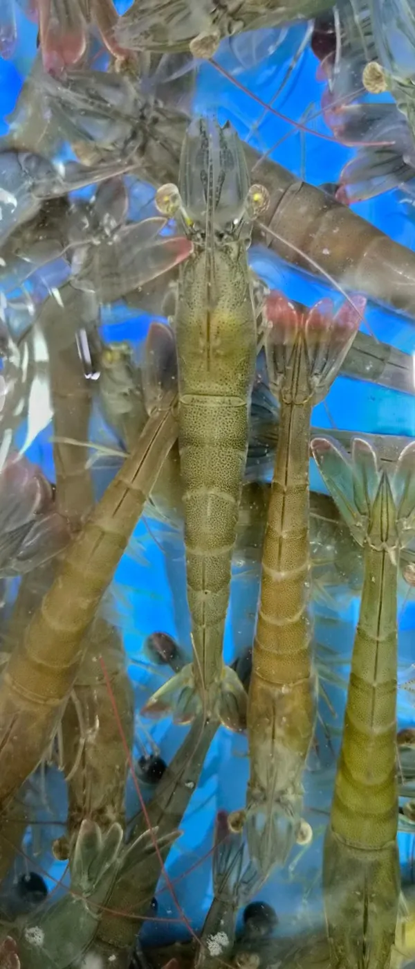 우리바다수산 사진 2