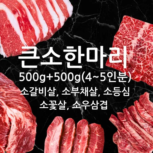 신한우왕국 사진 3