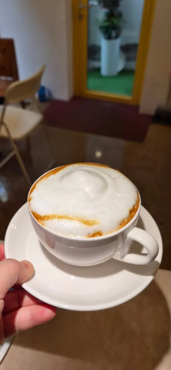 톨스위즈 사진 3