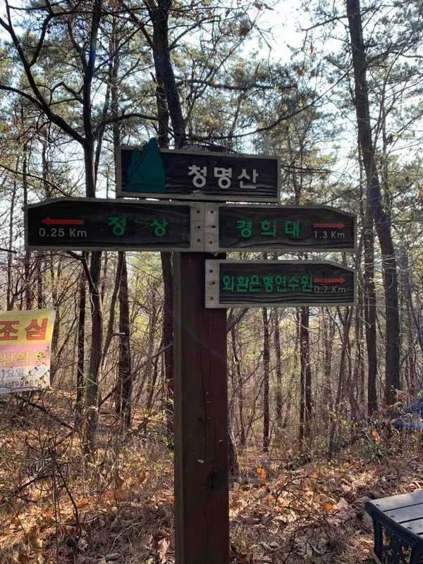 청명산 사진 2