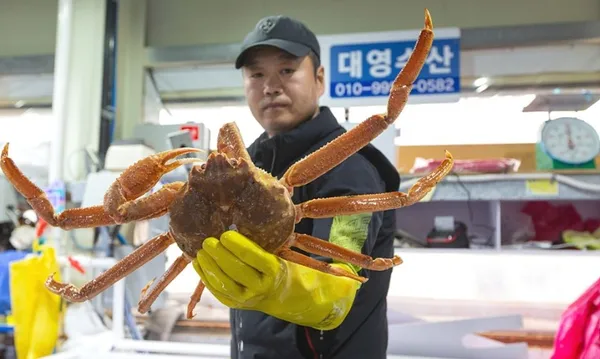 주문진수산시장 사진 2