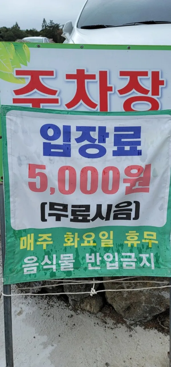 서귀다원 사진 2