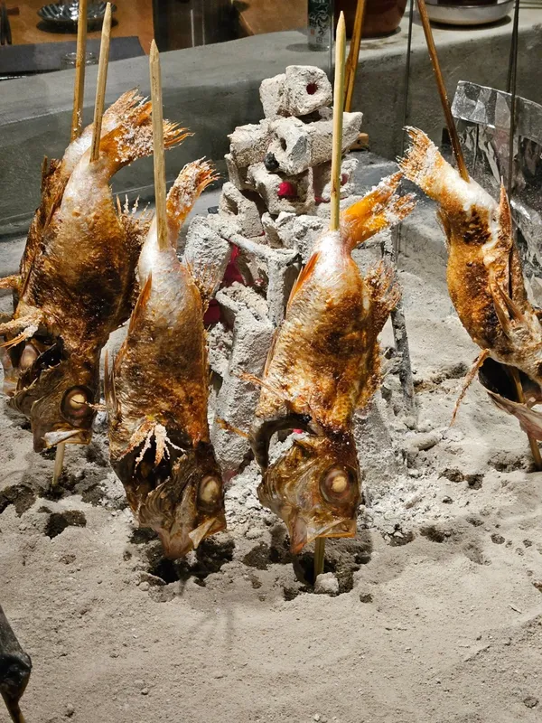 파치파치 사진 3