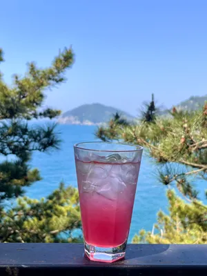Cafe Gorae Gangjeong