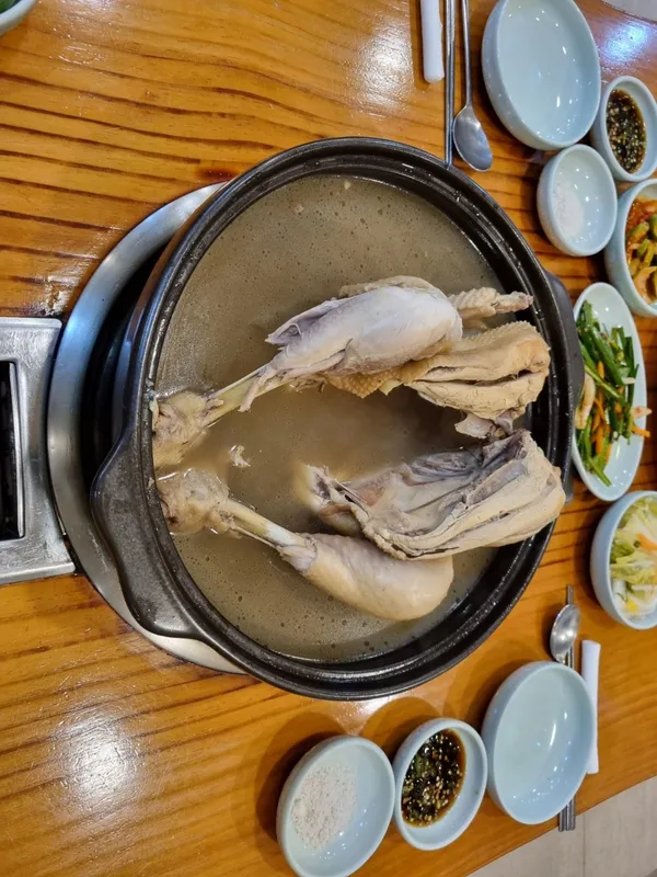 복돈오리 사진 3