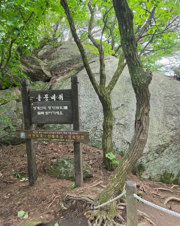청계산 사진 2