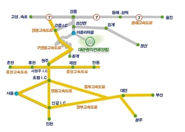 대관령자연휴양림 사진 2