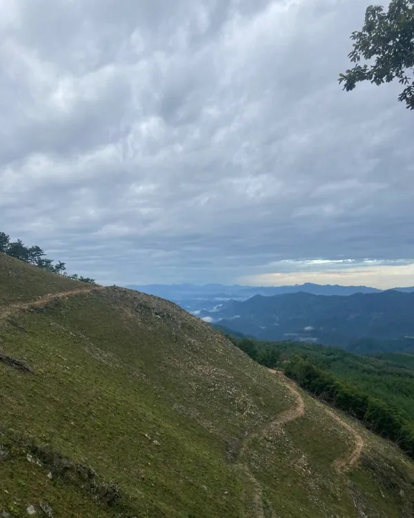 태화산 사진 2