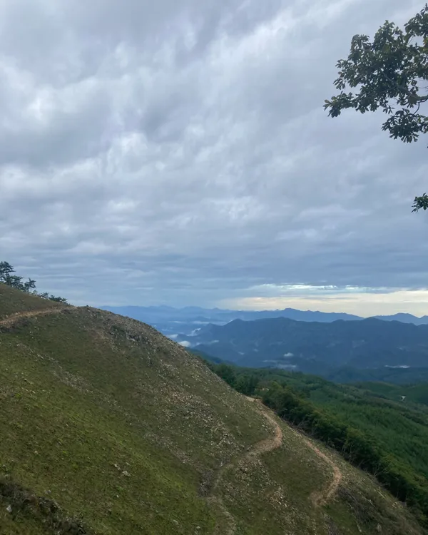 태화산 사진 3