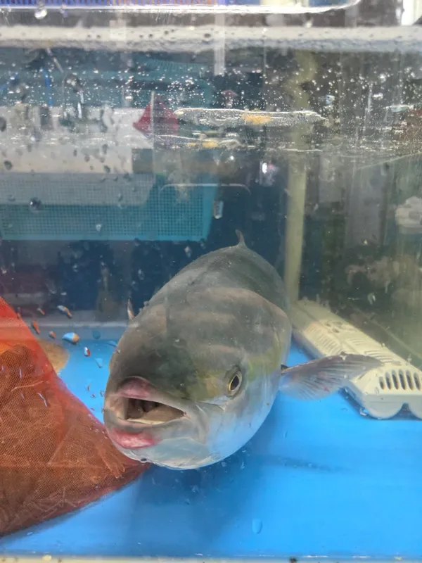 아라담 2호점 사진 3