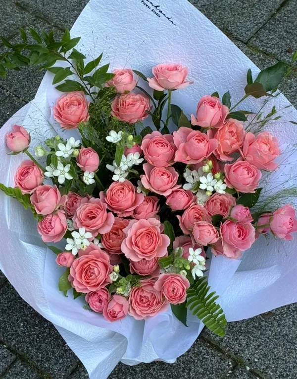 시연화다 사진 3