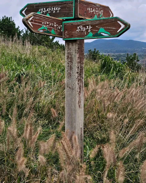 영주산 사진 3