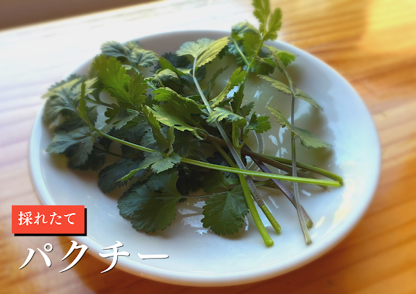 온센식당 사진 4