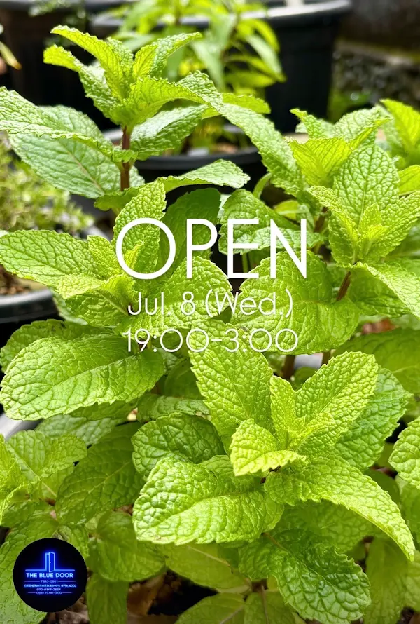 THE BLUE DOOR Fukuoka Nakasu Cocktail Bar