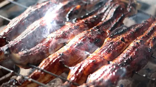 炭焼鰻 土井活鰻 金閣寺店 Unagi 사진 2