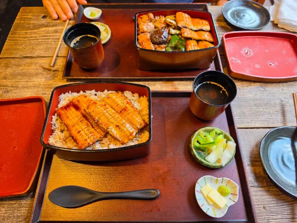 Yakitori and Unagi HACHIYA, photo 3