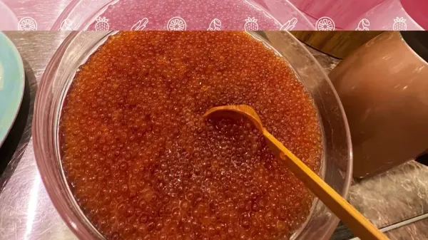 베셀 인 삿포로 나카지마코엔 사진 3