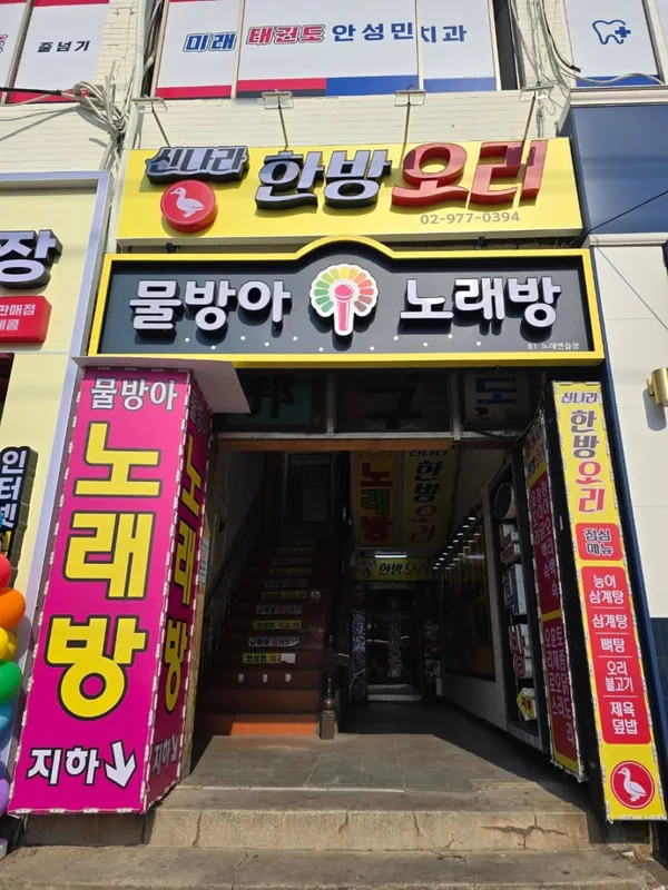 신나라 한방오리