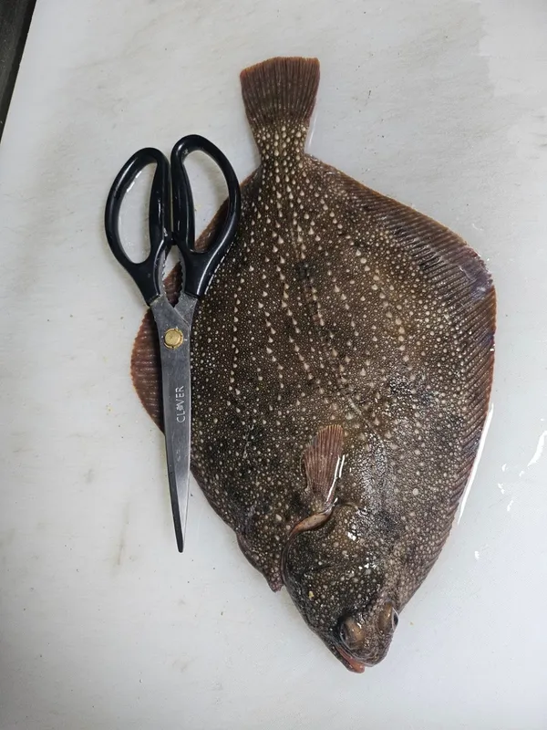 만복회해산물 뱅뱅사거리점