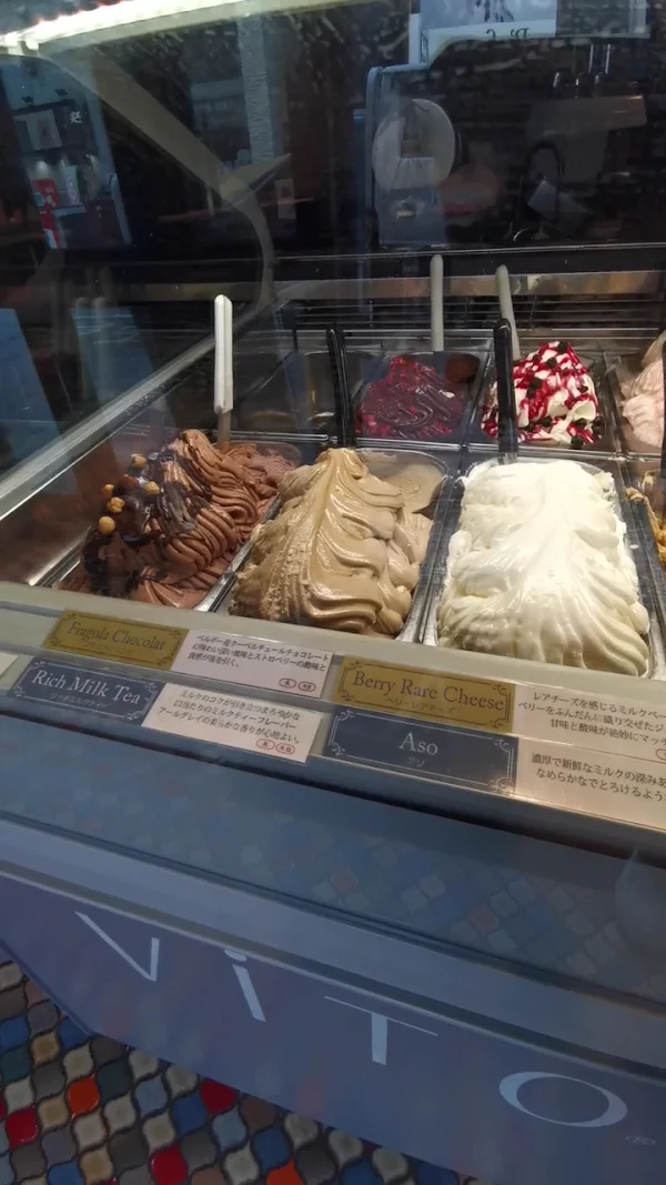 비토 사진 2
