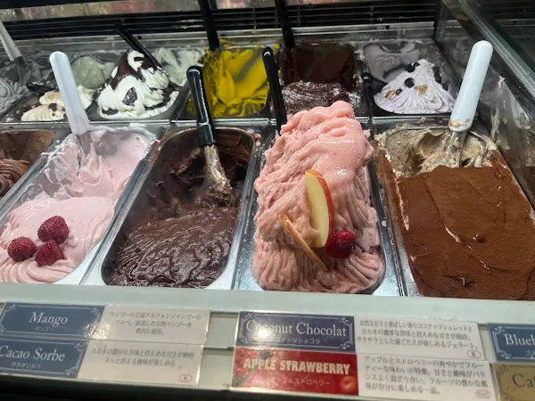 비토 사진 3