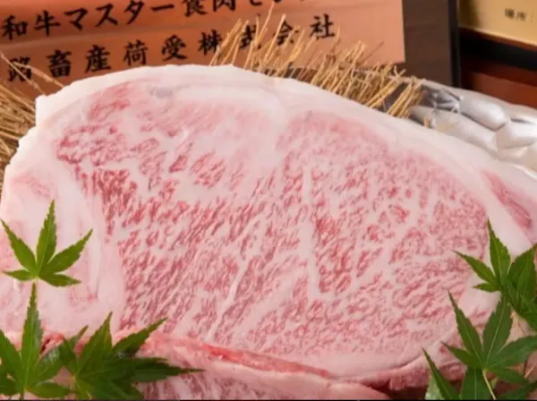 킷쇼키치 니시 신사이바시점 사진 2