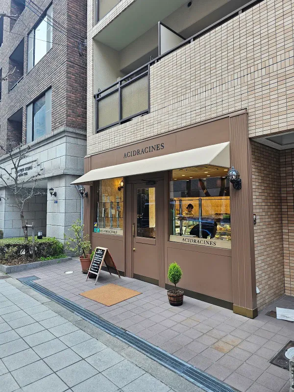 아싯도라시누 사진 5