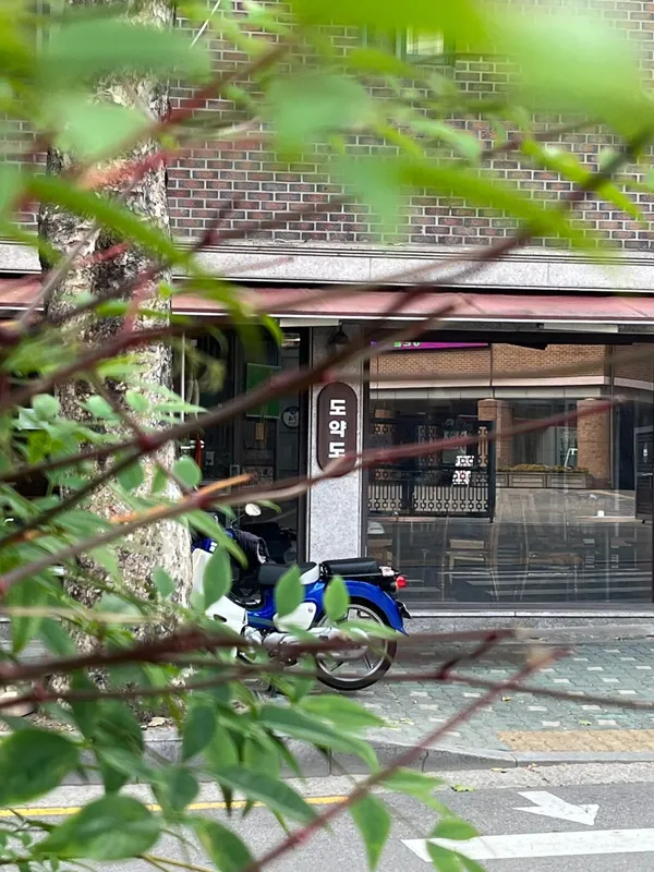 도약도
