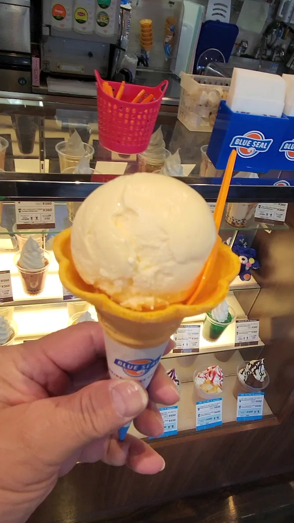 블루씰 팔레트쿠모지 사진 2