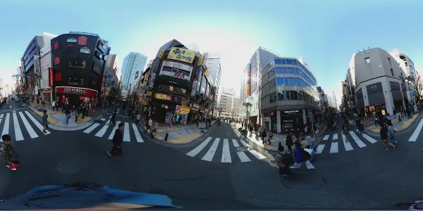 젯테리아