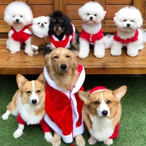 Meongmungmong Dog Cafe