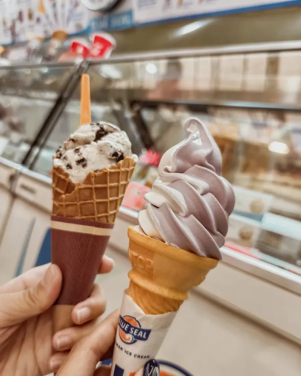 블루 실 팔러 미즈하라 사진 3