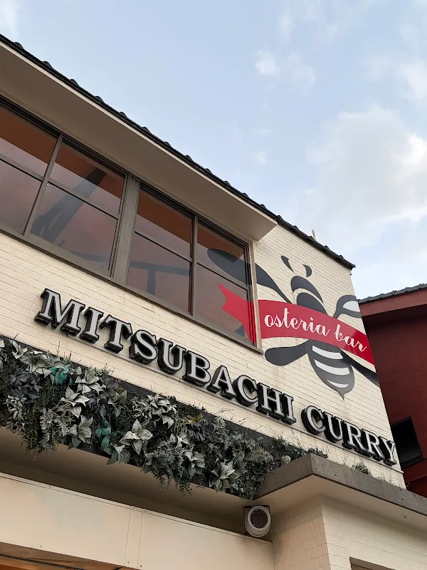 Mitsubachi Curry 사진 4