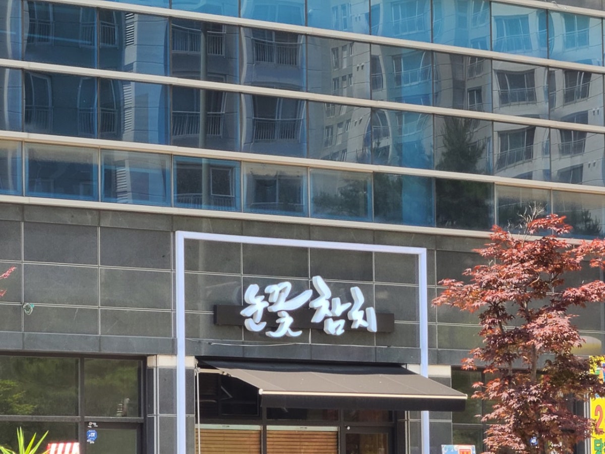 눈꽃참치 사진 5
