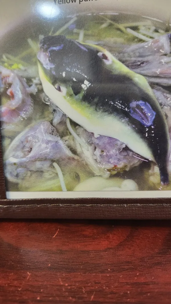 송강 사진 2