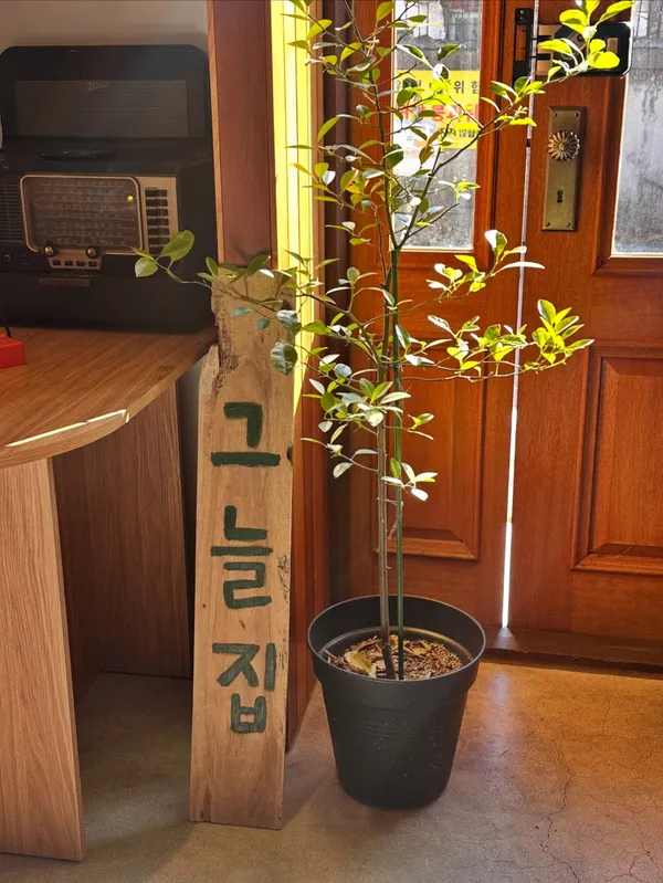그늘집 강릉 사진 5