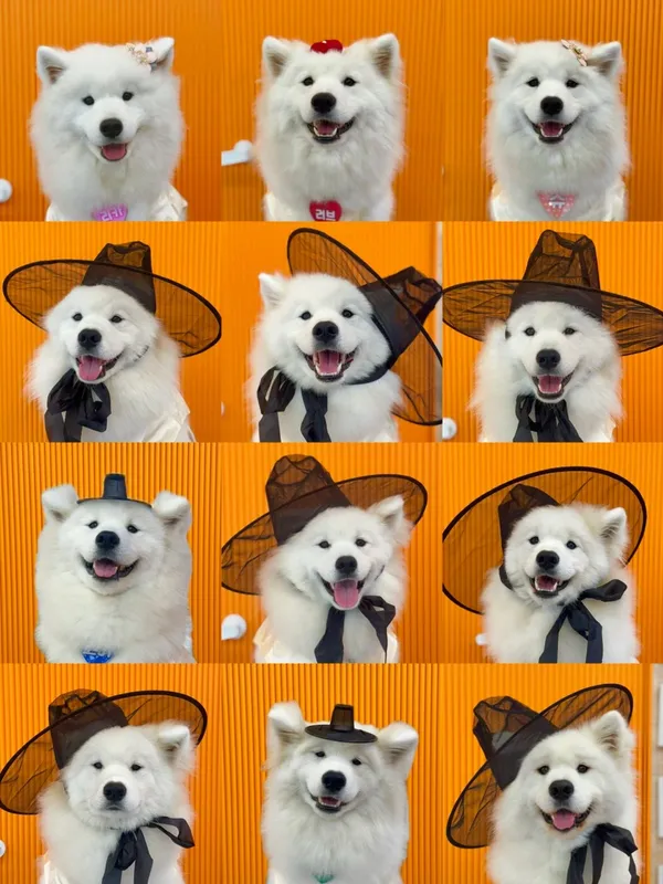 하트멍
