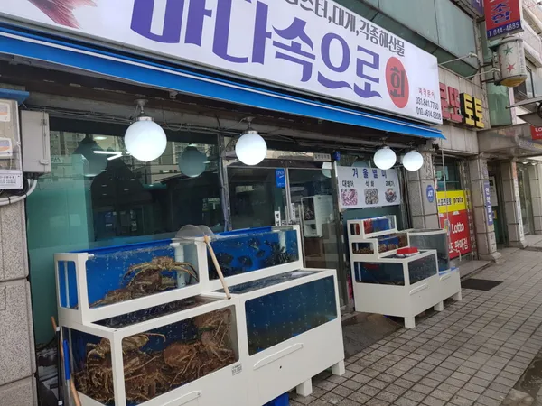 바다속으로