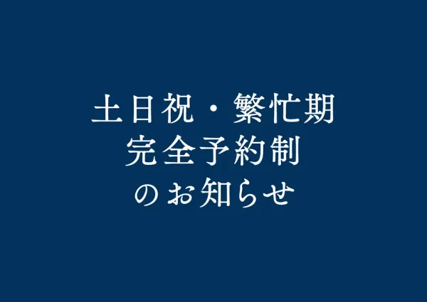우동 세토바레 사진 5