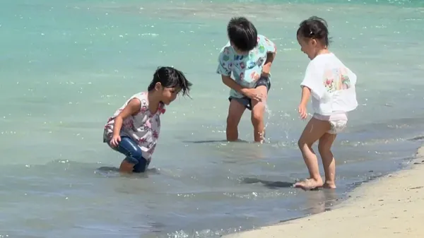 오지마 섬 사진 3