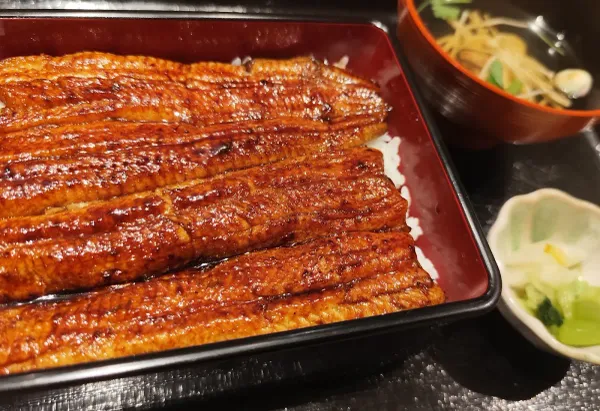 Unagi Sumito 사진 5