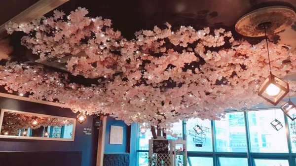 라파스