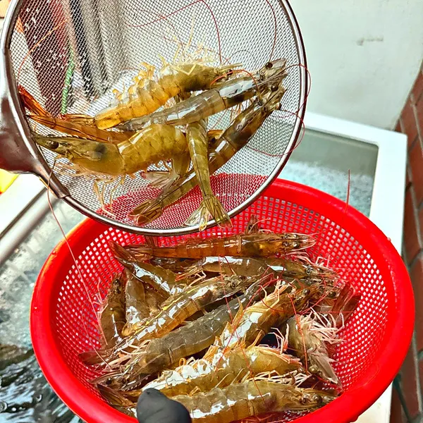 김막회